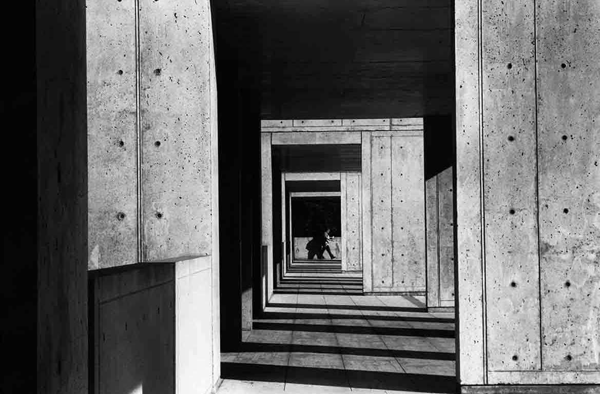 architecture-starck-institute