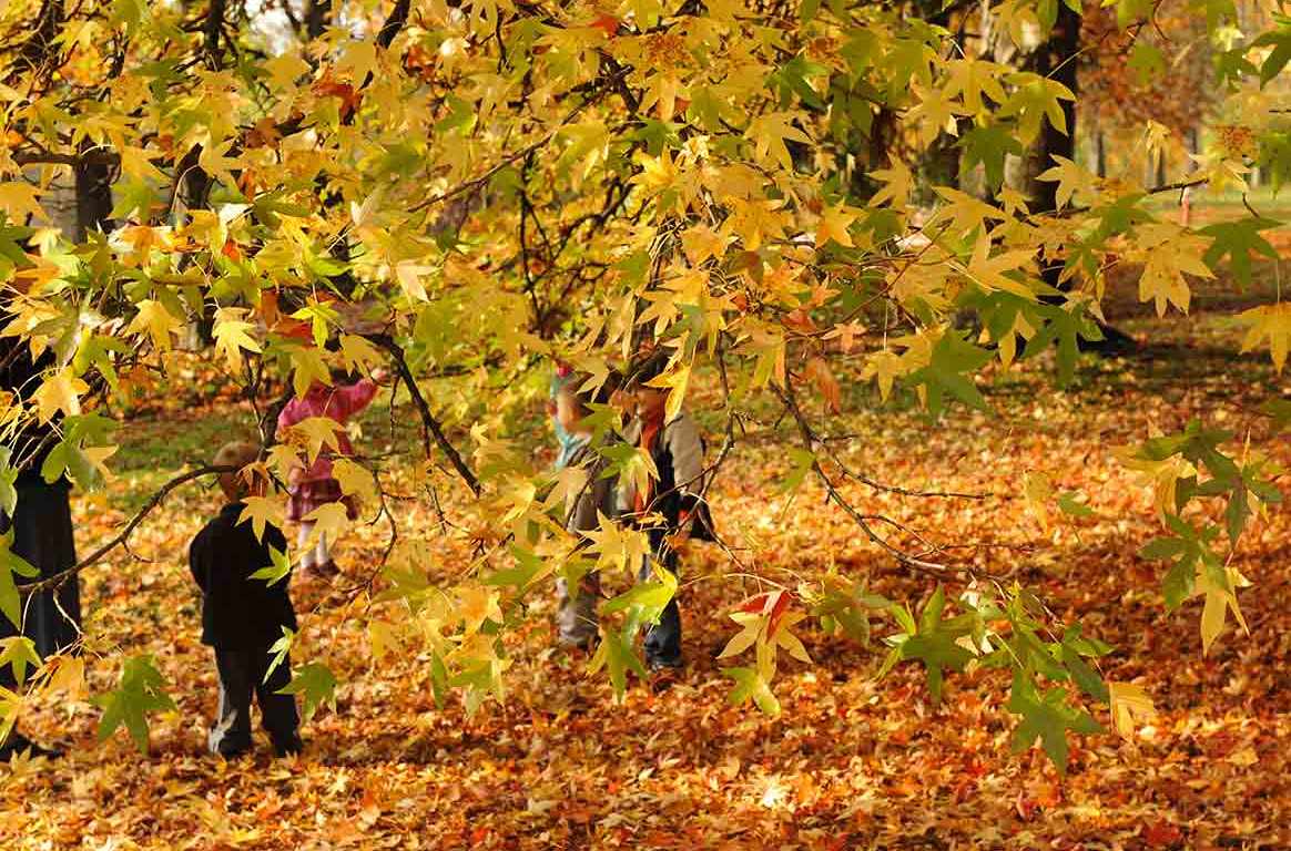 autunno-michela-morando