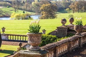terrace-bowood-house