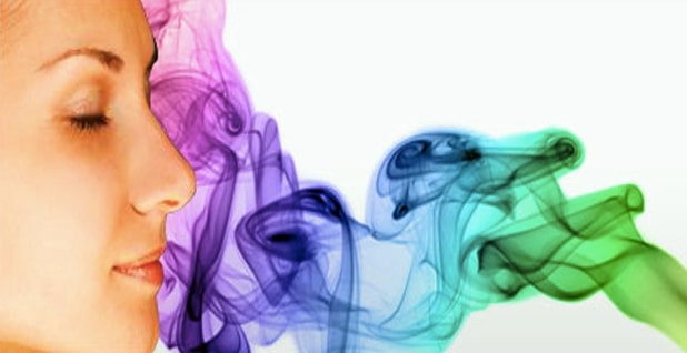 2F5EFBB9-B805-41CB-A435-56590A27F050