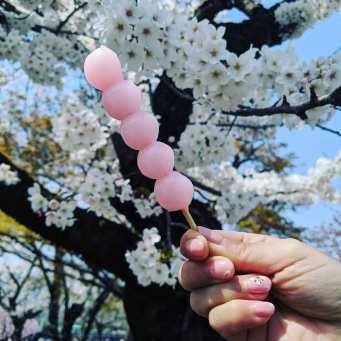 56161402_139251547129478_7027725266822679215_n